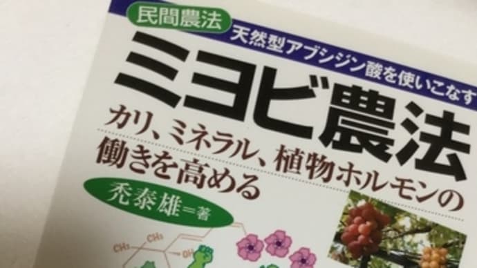 【こだわりの苗】に、試験栽培苗に昨日【ミヨビビンテージ散布】意外にも1日で…！(◎_◎;)