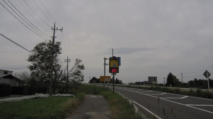 有料道路の気温計は２０度（２０１９年１０月２１日千葉市緑区）と落花生