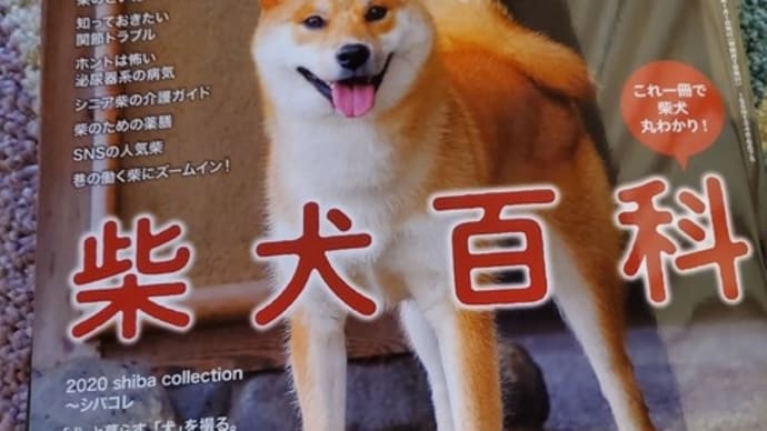 Wan1月号は柴犬特集!「柴犬のための薬膳」