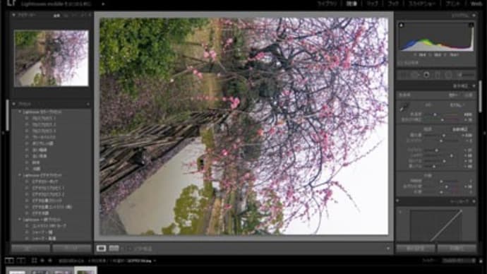 GoPro HERO6のRAWファイル現像