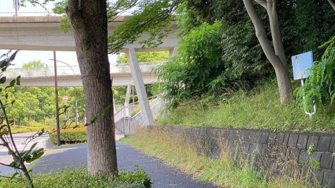 映画 万引き家族 クライマックスシーンのロケ地