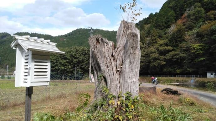 お決まりのキャンプ2日目の走