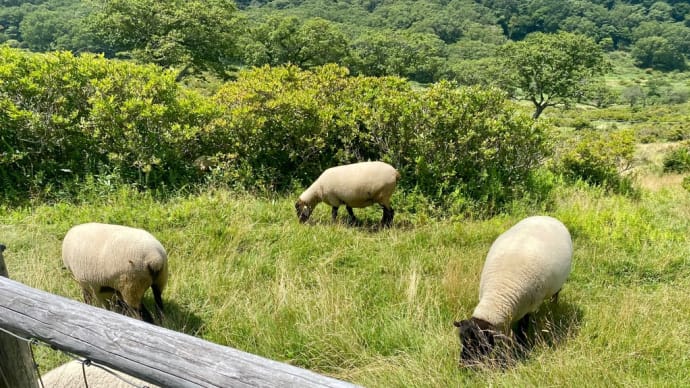 赤城山 大沼湖 覚満淵 群馬の旅
