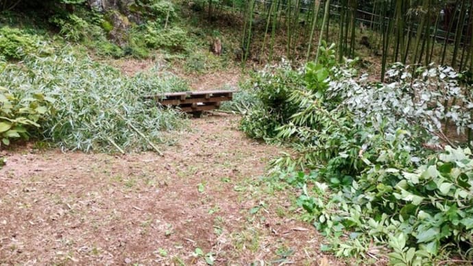 秋の活動の準備