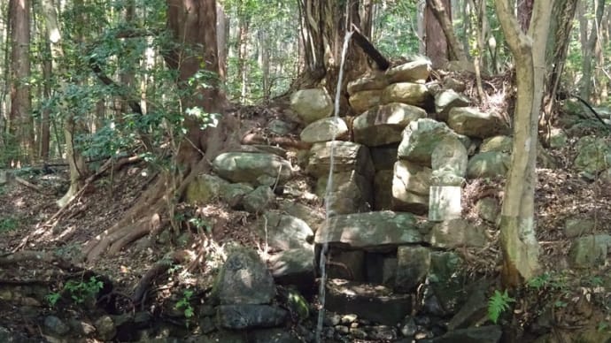 Praying to small stone shrine at Ruri Waterfall, from there on, there is real target Kukai's tomb.