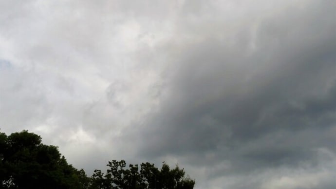 雨が降ったけれど、ちっとも涼しくならなかった!