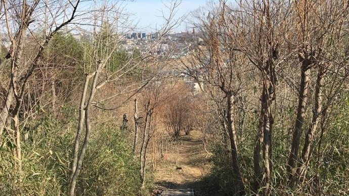 なんちゃってハイキング・長沼公園の巻