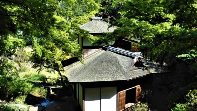 2021・4・16 横浜の素敵な建造物 中区・三渓園の聴秋閣。三渓園新緑の遊歩道開放。