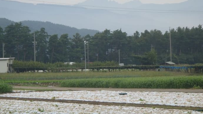 自転車ばかりに乗ってないで歩かなければ