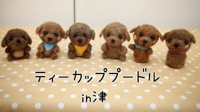 ティーカッププードル講座 in 津 知立