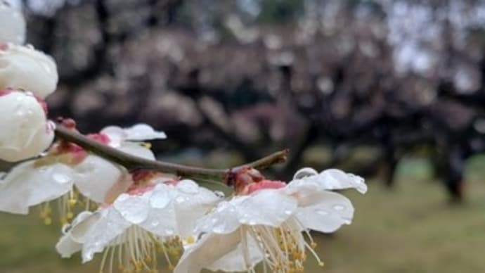 火曜クラスの皆さま