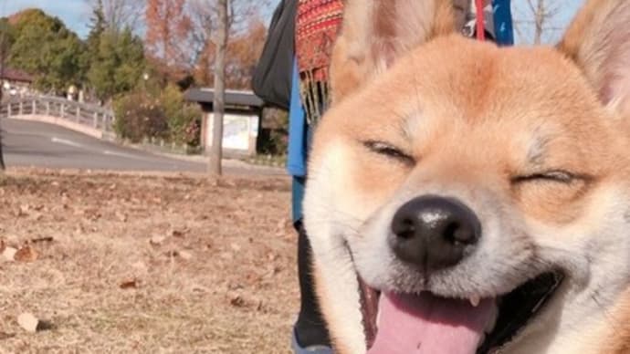 ぎふ清流里山公園の巻
