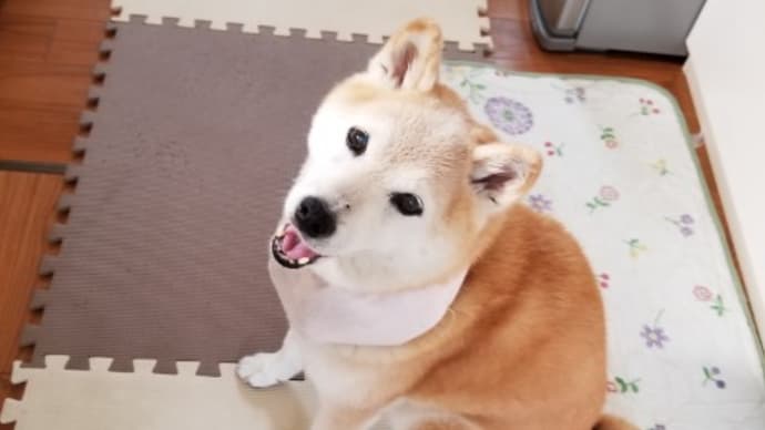 クリンへの想いは尽きなくて・・・30
