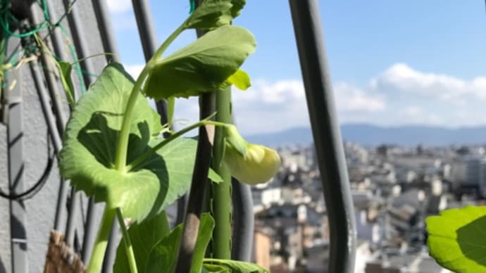 意外に寒い