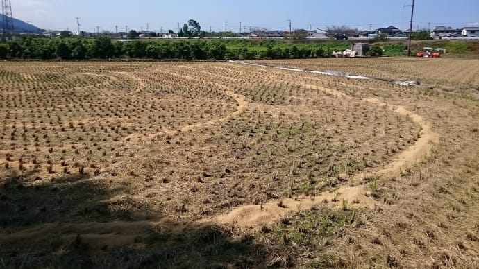 久し振りの快晴
