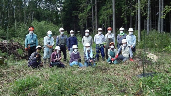 BESS高崎主催でコナラ、クヌギの植林を行いました。
