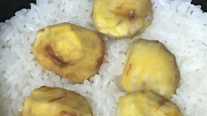 食欲の秋→丹波栗で「栗ご飯」炊きました~ほかに「鮭のホイル焼き」「スパゲティミートソース」など(^^)
