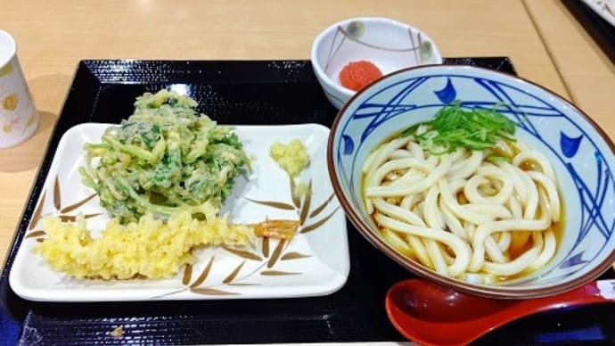 最近撮った写真=うどん