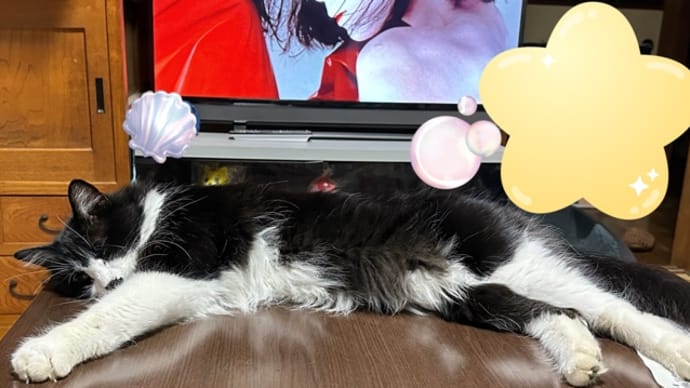 5/31 アメブロ更新しました