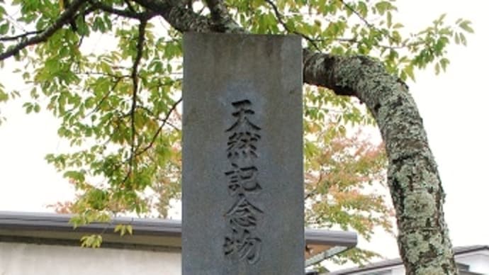 つぶやき#2976 忍野八海 その二