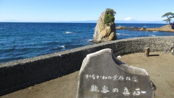 横浜友定例会は海辺のイタリアンレストラン