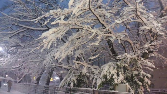 ライアーの楽譜