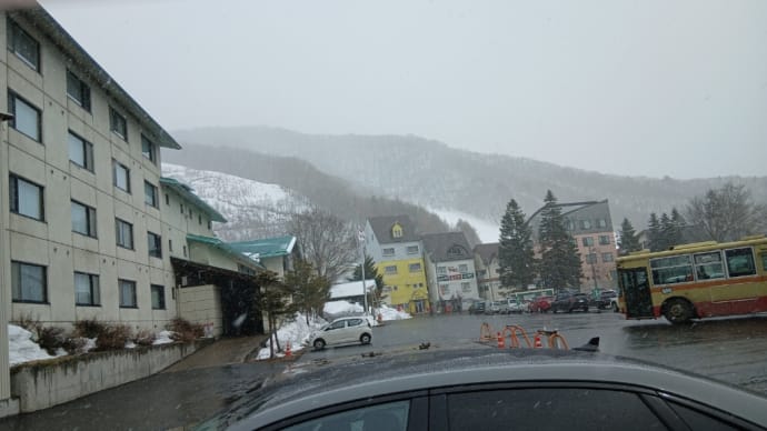 スキーに行って来ました