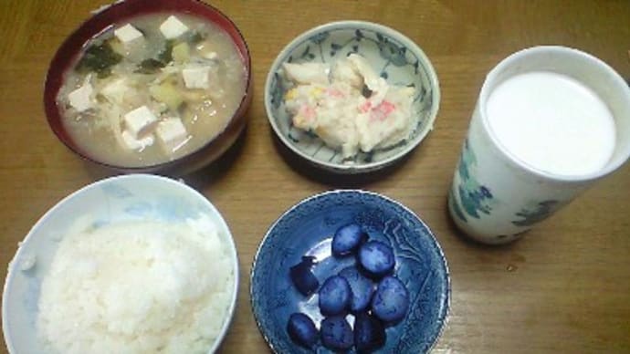 ヒューストンのレースをようやく観たよ