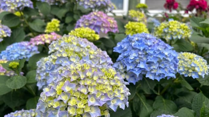 補聴器の調整へ再度