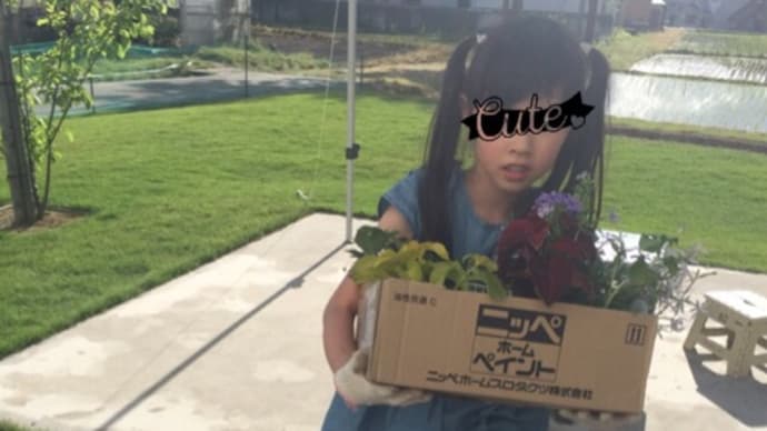 やっと胡瓜と茄子植えました