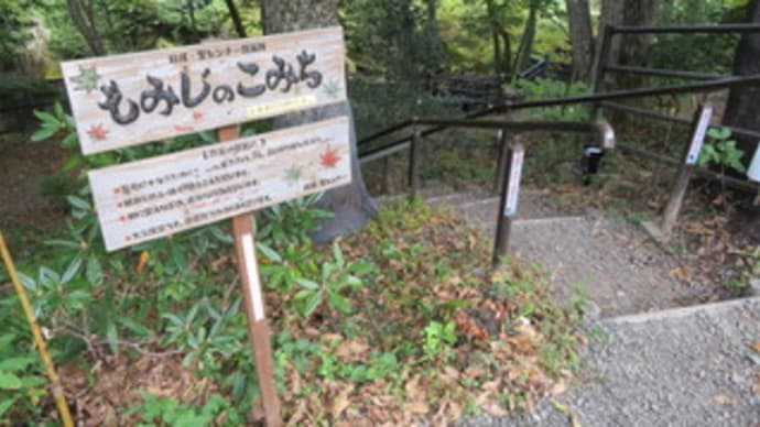 散策！仙台（３４）　秋保のメインスポット「磊々峡」を歩き、絶景を観賞する