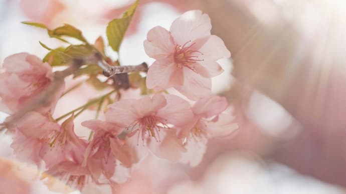 紫外線の影響は花曇りでも…春肌ケアのポイントは?