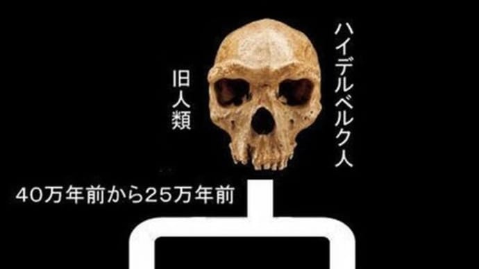 ネアンデルタール人の拡散2