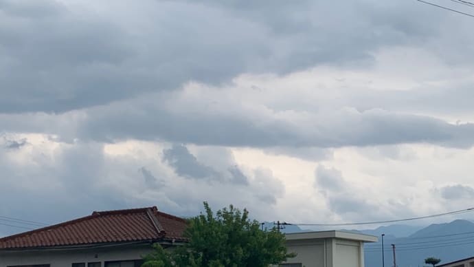 今日も大きいのいます☁️🛸2024.06.02