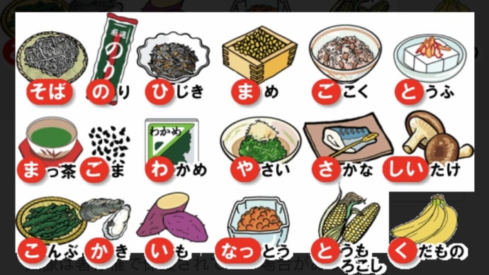 骨密度測定結果って?
