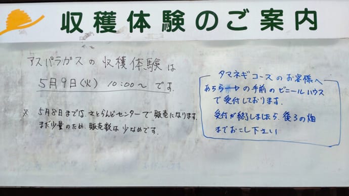 たまねぎコース1日目