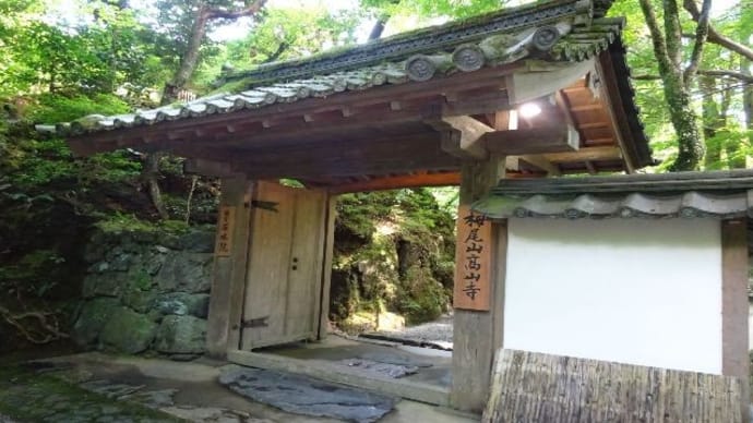 京都定期観光バスツアー・高山寺