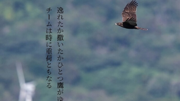 チームは時に重荷ともなる。