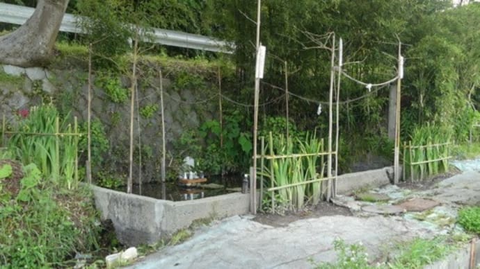 水戸･大井神社にある3つの井戸
