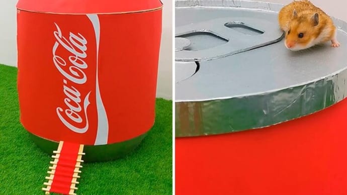 Hamster escapes the Coca Cola maze in real life #Shorts 🥤 Homura Ham