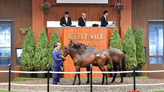 セレクトセール出身馬【ヴァレーデラルナ(Valle de la Luna)】が「JBCレディスクラシック」を優勝