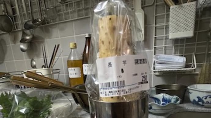 2022.03.19 山芋も、チタンタンブラーで保存しましょう。