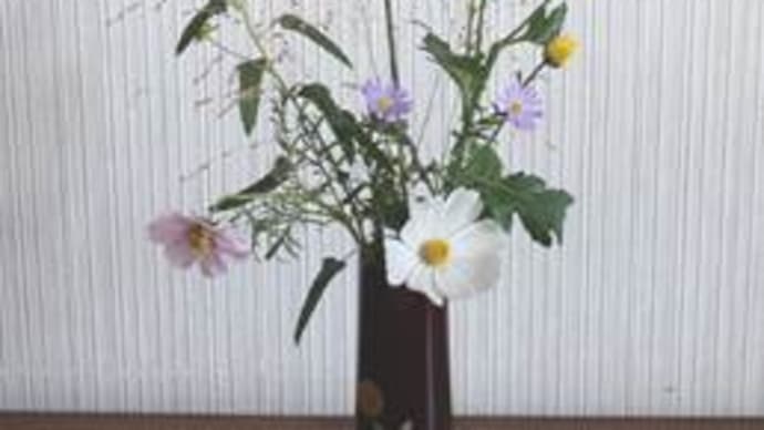 2020124神無月③の花