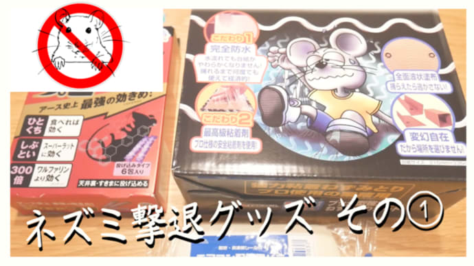迷惑千万！今度はネズミからの侵攻を受けているので対策する①