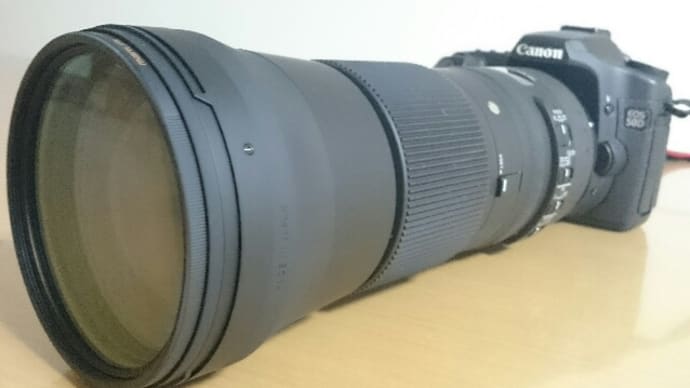 優駿牝馬写真展w