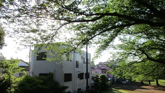 夏日が続く・・・