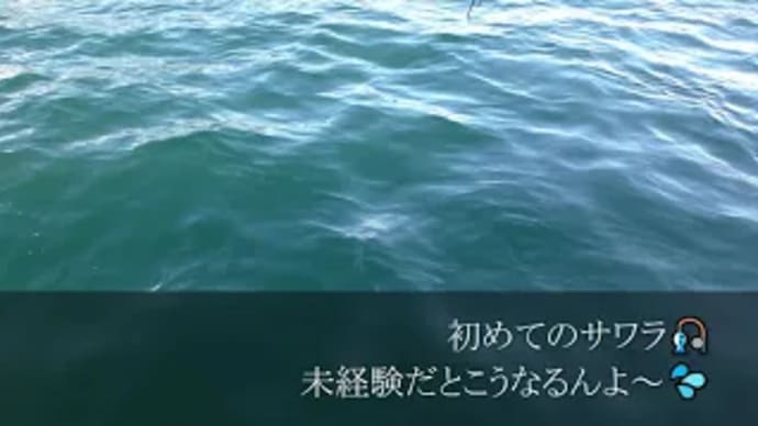 初めてのサワラ🎣未経験だとこうなるんよ～💦