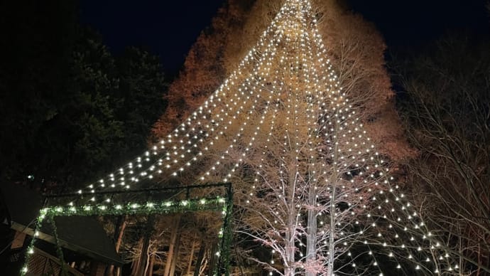 「ボタニカルクリスマス」と神戸の夜景✨🎄✨①