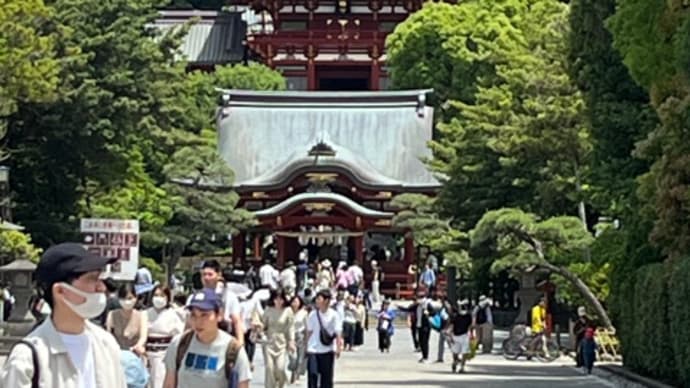 鶴岡八幡宮とランチ