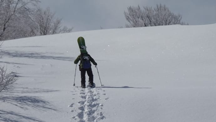「樹雪山歩・函館七飯スノーパーク」2025年3月8日